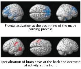 NeuronalActivity